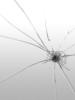 Broken Glass